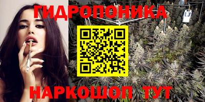 jwh Тула