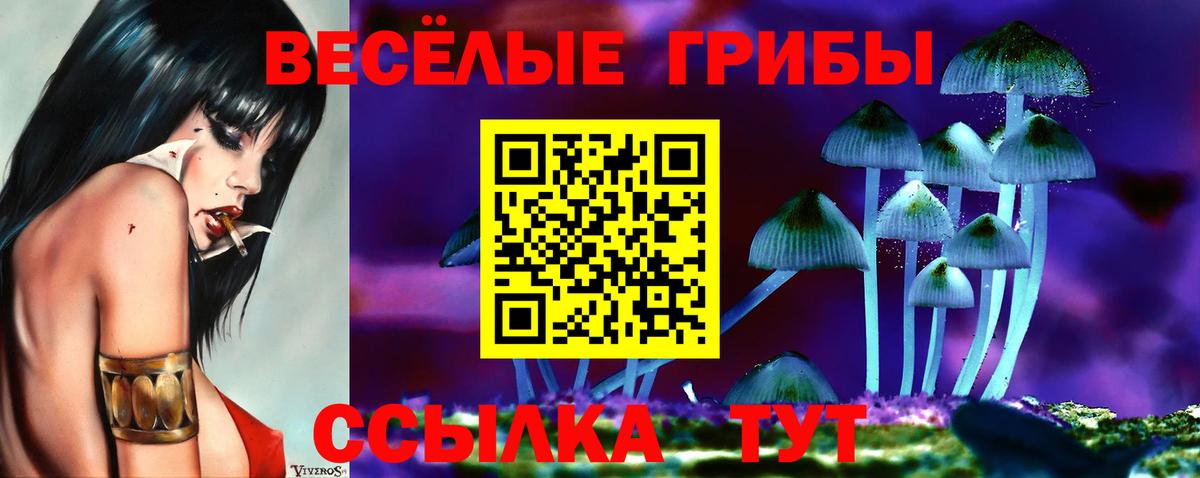 Можга  Галлюциногенные грибы GOLDEN TEACHER  купить  цена  Вход с VPN  Галлюциногенные грибы Cubensis 
